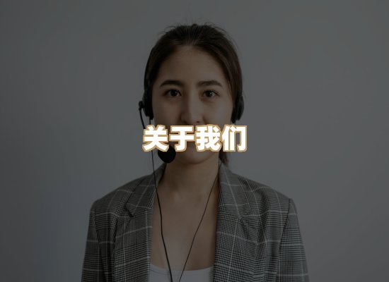 关于蓝帝图文网